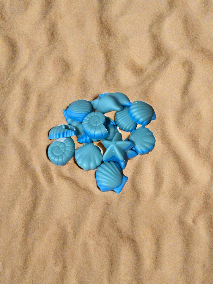 Seashells